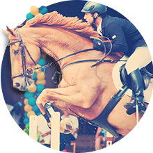 Сайт Международного конного агентства Dressage Horses